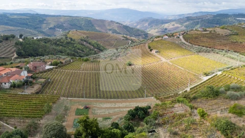 Terreno para Venda em Abaças