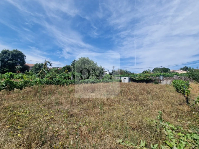 Terreno para Venda em Abaças Foto 4