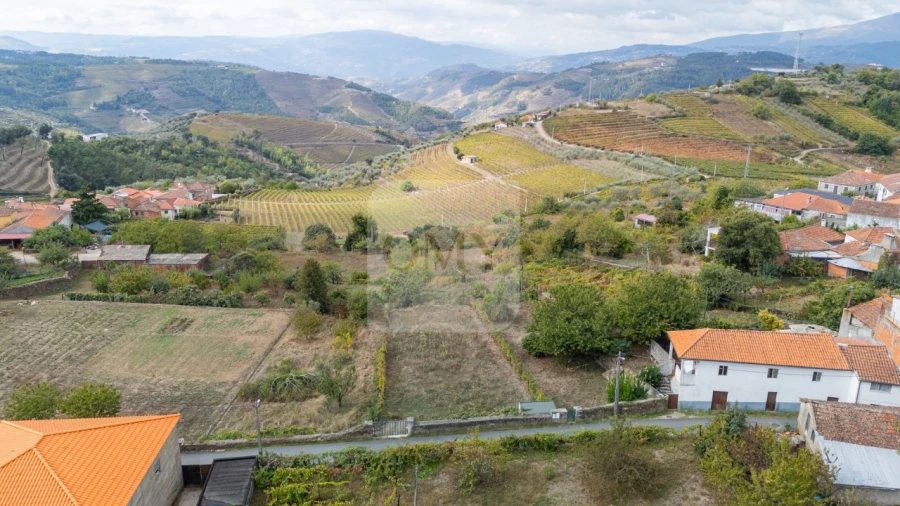 Terreno para Venda em Abaças Foto 14