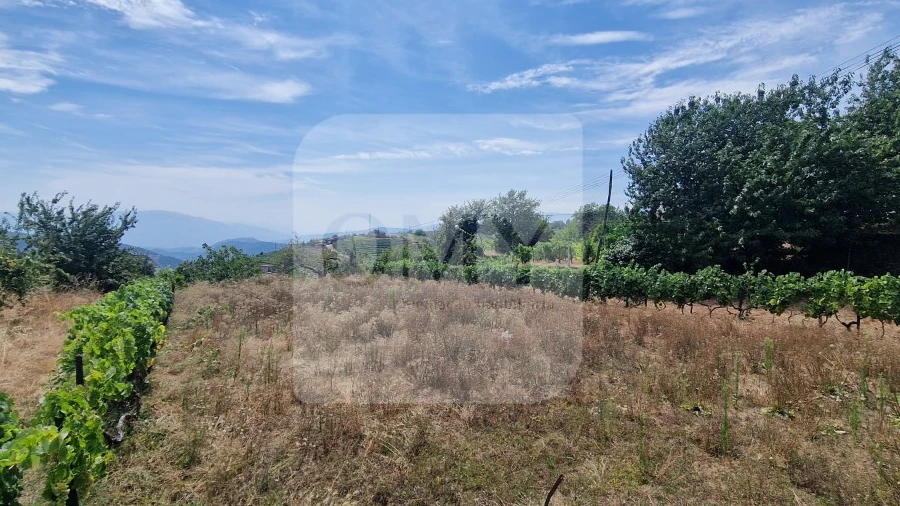 Terreno para Venda em Abaças