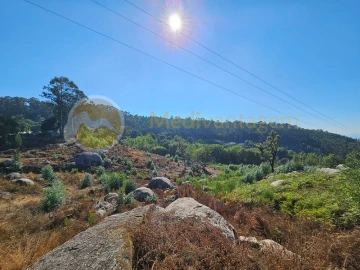 Moradia T4 para Venda em Espinho