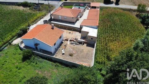 Moradia T3 para Venda em Avanca
