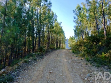Quinta T2 para Venda em Carvalhais e Candal