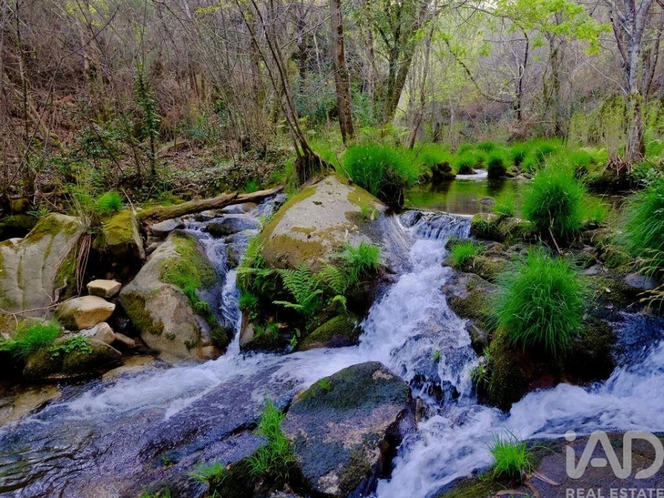 Quinta T2 para Venda em Carvalhais e Candal Foto 2