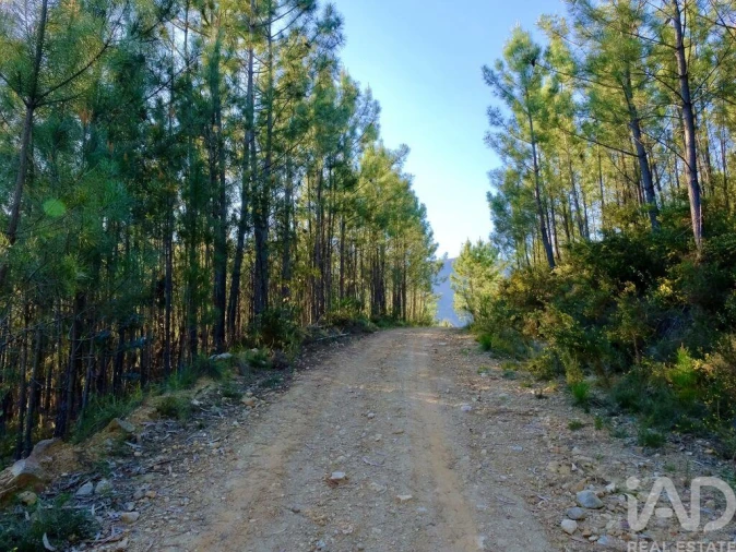 Quinta T2 para Venda em Carvalhais e Candal Foto 20