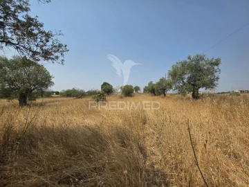 Quinta T2 para Venda em Casével e Vaqueiros