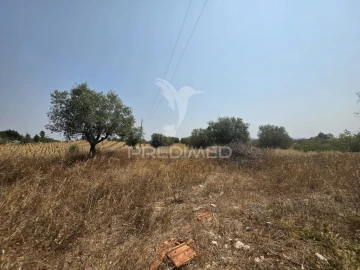Quinta T2 para Venda em Casével e Vaqueiros