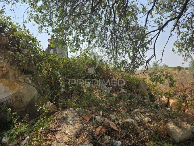 Quinta T2 para Venda em Casével e Vaqueiros Foto 16
