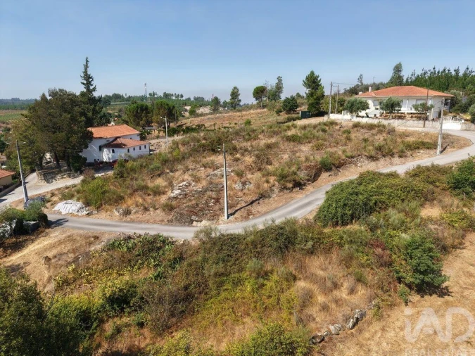 Terreno para Venda em Mangualde, Mesquitela e Cunha Alta Foto 4