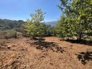 Terreno para Venda em Souto e Tabaçô