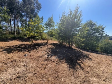 Terreno para Venda em Souto e Tabaçô