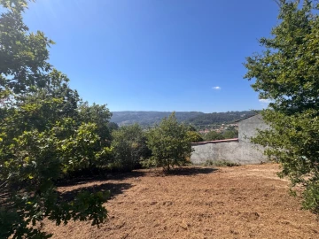 Terreno para Venda em Souto e Tabaçô