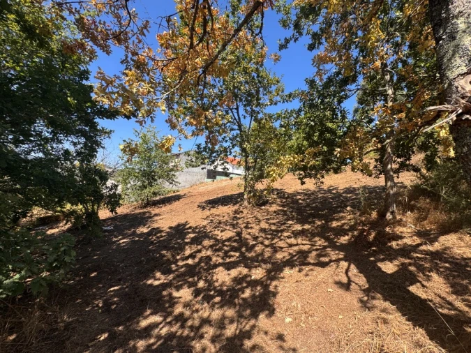 Terreno para Venda em Souto e Tabaçô Foto 5