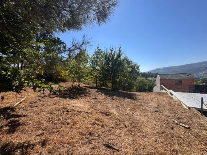 Terreno para Venda em Souto e Tabaçô Foto 2