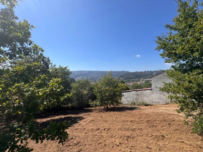 Terreno para Venda em Souto e Tabaçô Foto 6