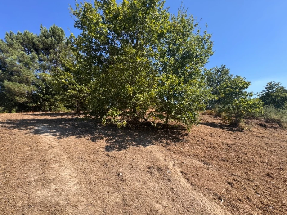 Terreno para Venda em Souto e Tabaçô Foto 4