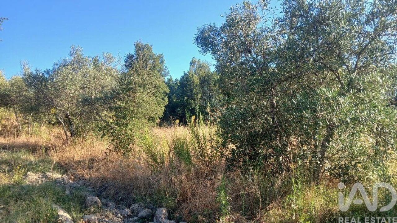 Terreno para Venda em Sarzedas Foto 25