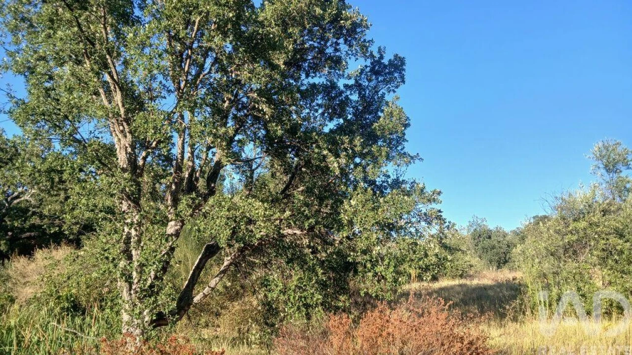Terreno para Venda em Sarzedas Foto 18