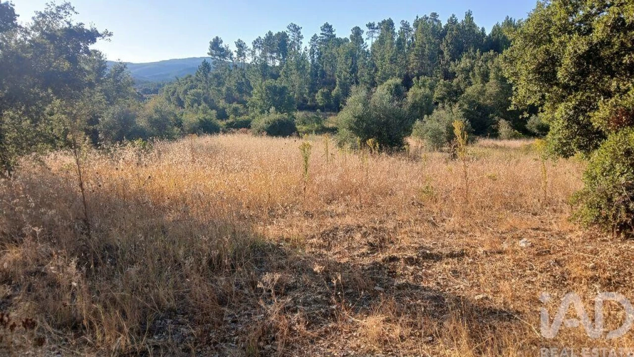 Terreno para Venda em Sarzedas Foto 15