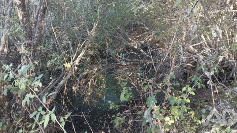 Terreno para Venda em Sarzedas