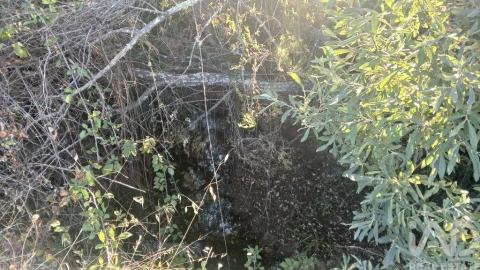 Terreno para Venda em Sarzedas