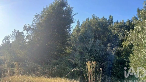 Terreno para Venda em Sarzedas