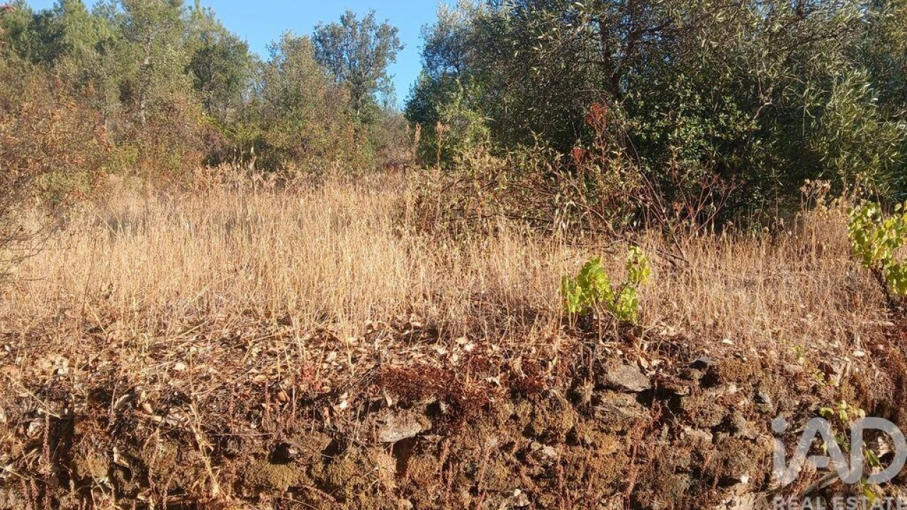 Terreno para Venda em Sarzedas Foto 10