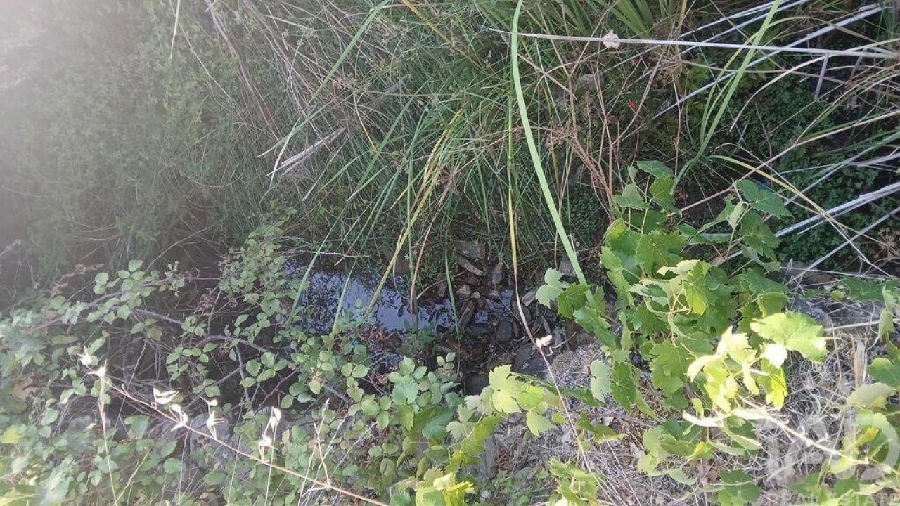 Terreno para Venda em Sarzedas Foto 2