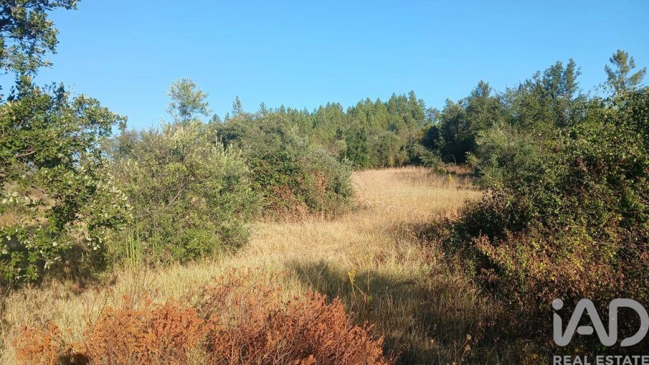 Terreno para Venda em Sarzedas Foto 19