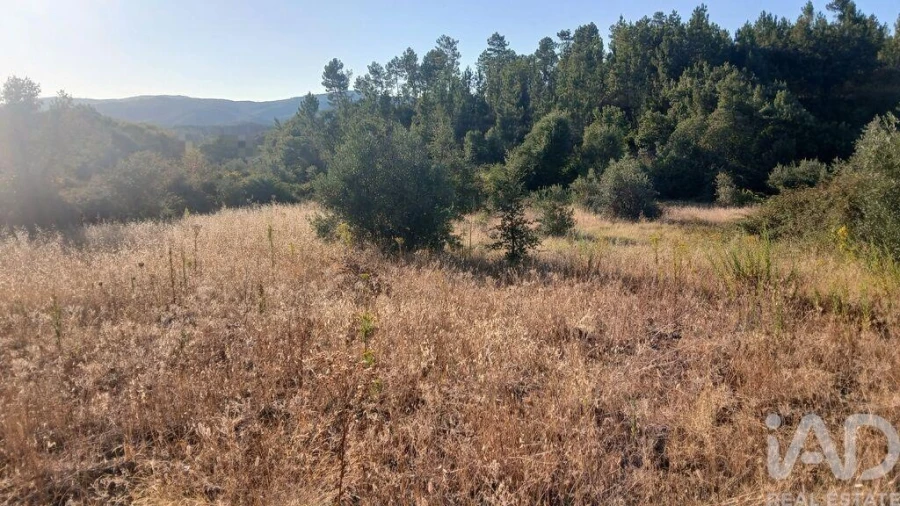 Terreno para Venda em Sarzedas Foto 7