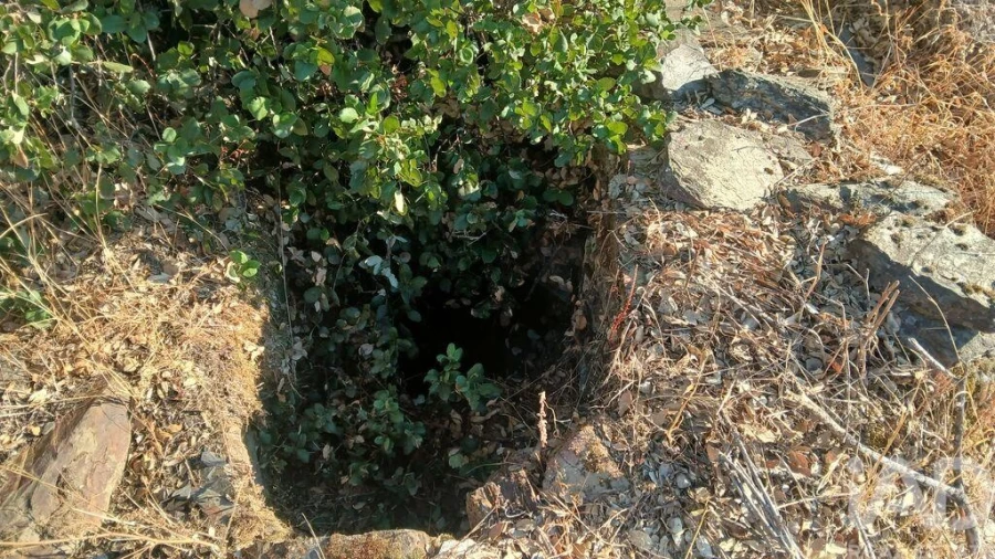 Terreno para Venda em Sarzedas Foto 6
