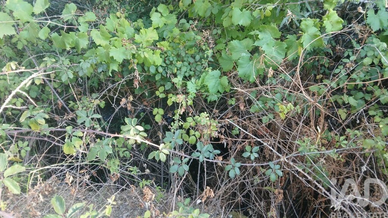 Terreno para Venda em Sarzedas Foto 3
