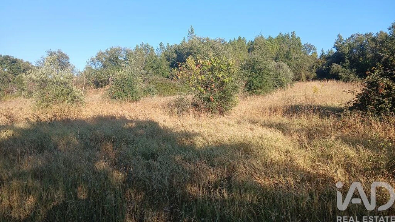 Terreno para Venda em Sarzedas Foto 21