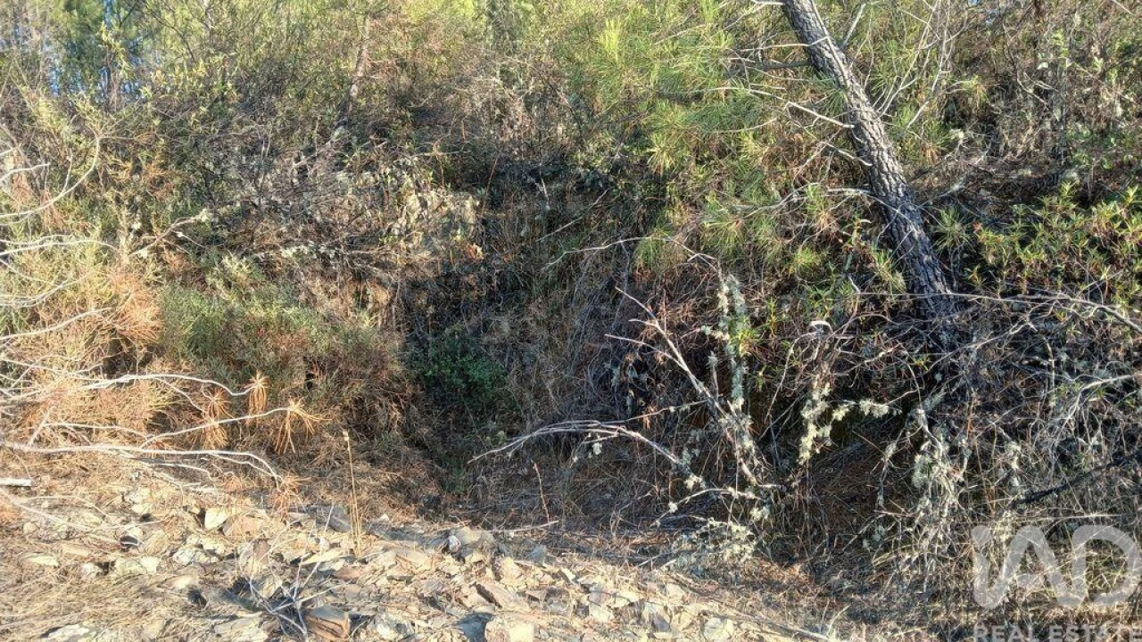Terreno para Venda em Sarzedas Foto 29