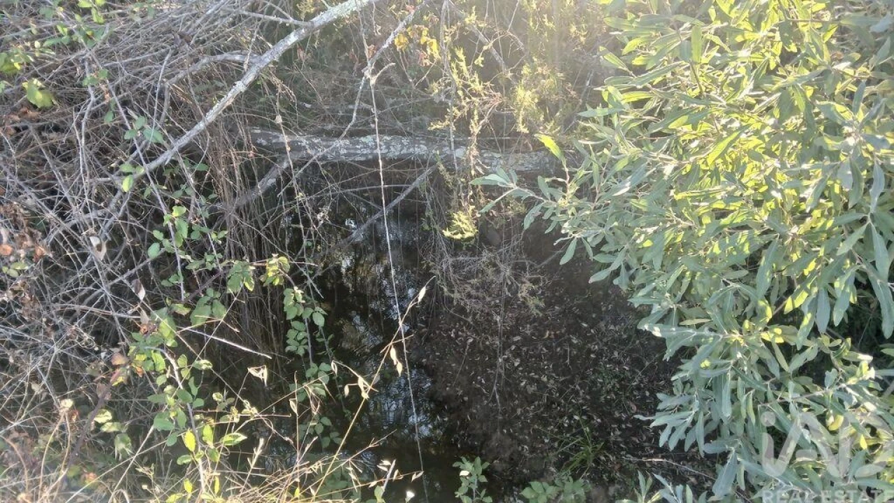 Terreno para Venda em Sarzedas Foto 8