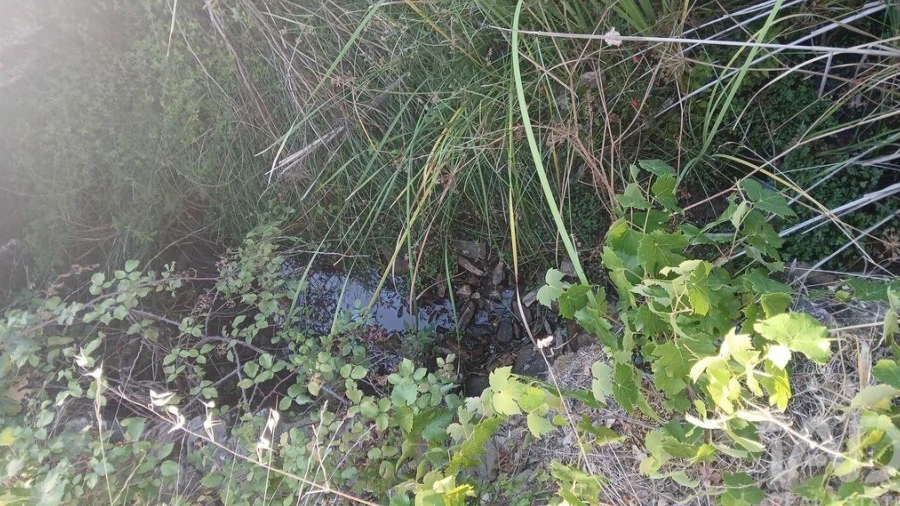 Terreno para Venda em Sarzedas