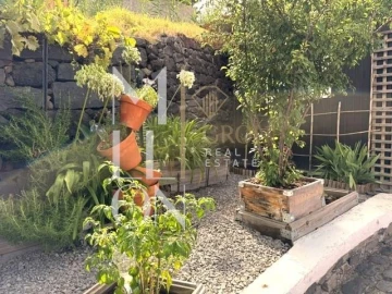Moradia T3 para Venda em Arco da Calheta