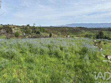 Terreno para Venda em Mangualde, Mesquitela e Cunha Alta