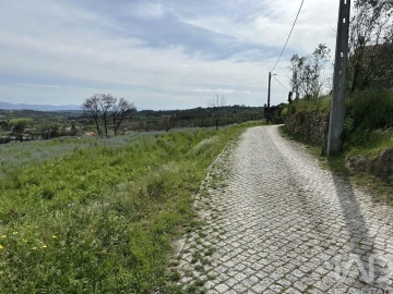 Terreno para Venda em Mangualde, Mesquitela e Cunha Alta