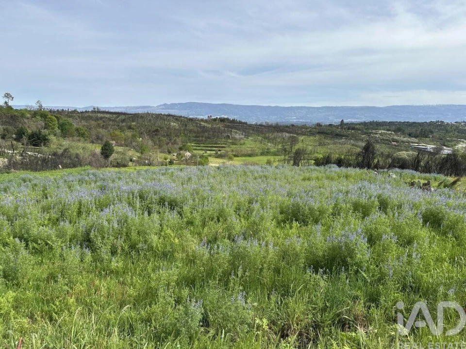 Terreno para Venda em Mangualde, Mesquitela e Cunha Alta Foto 8