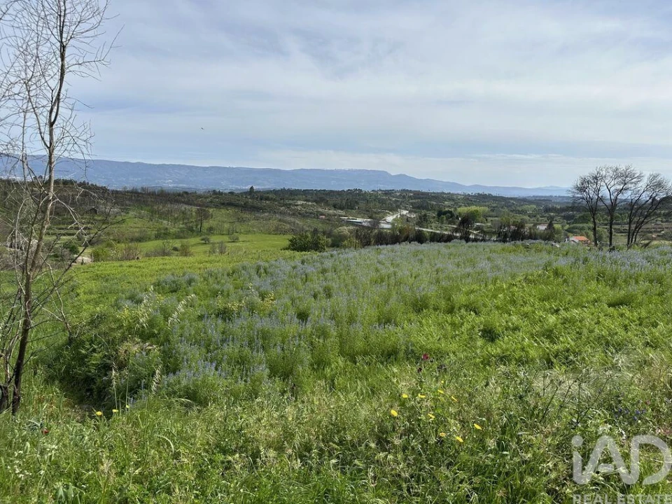 Terreno para Venda em Mangualde, Mesquitela e Cunha Alta Foto 2