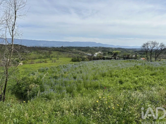 Terreno para Venda em Mangualde, Mesquitela e Cunha Alta Foto 2