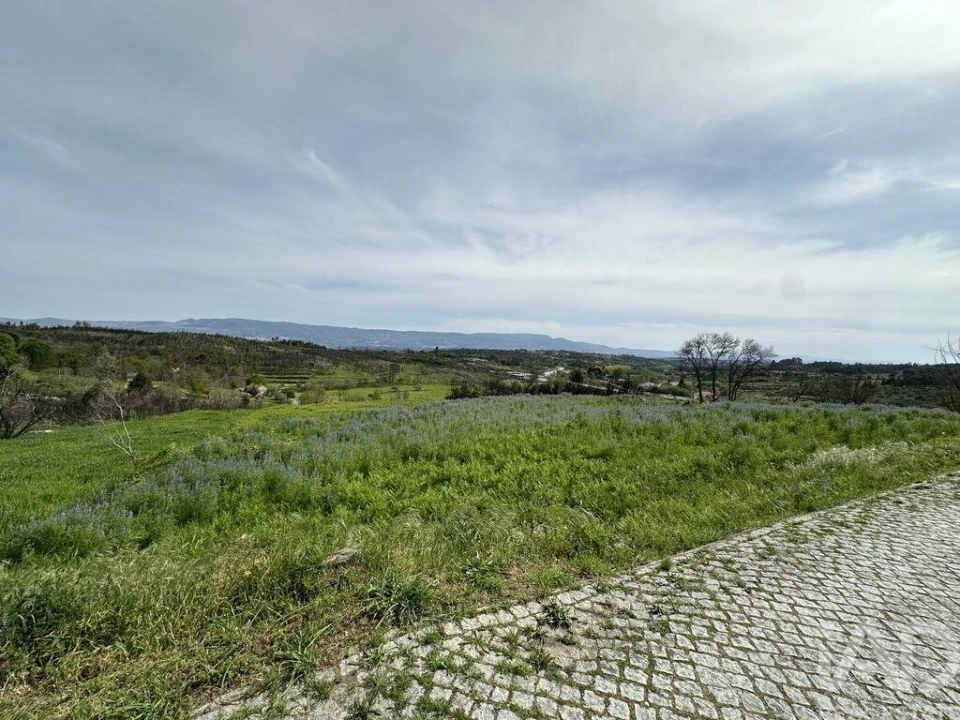 Terreno para Venda em Mangualde, Mesquitela e Cunha Alta Foto 4