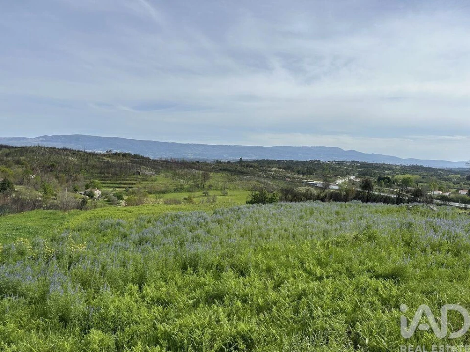 Terreno para Venda em Mangualde, Mesquitela e Cunha Alta Foto 5