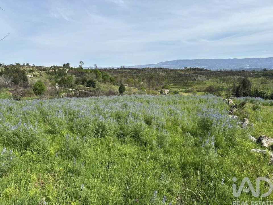 Terreno para Venda em Mangualde, Mesquitela e Cunha Alta Foto 6