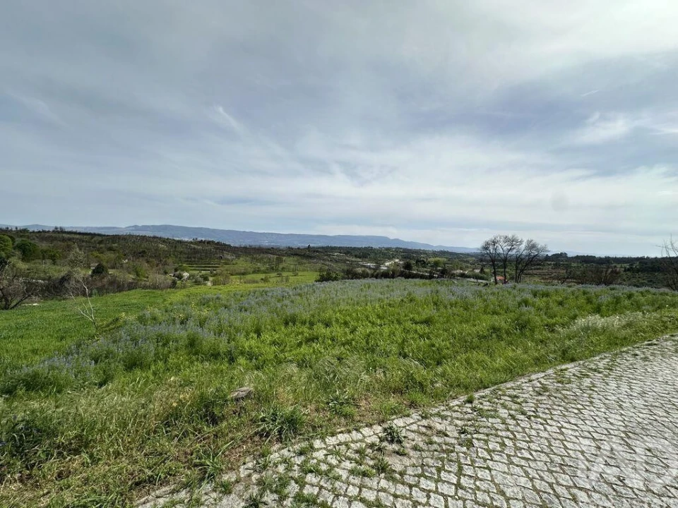 Terreno para Venda em Mangualde, Mesquitela e Cunha Alta Foto 1