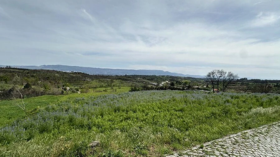 Terreno para Venda em Mangualde, Mesquitela e Cunha Alta