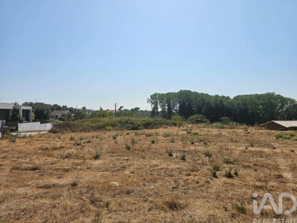 Terreno para Venda em Currelos, Papízios e Sobral Foto 2