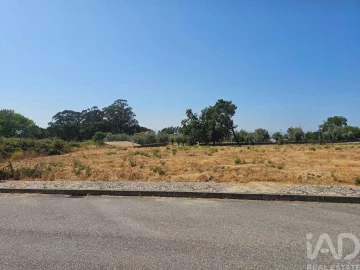 Terreno para Venda em Currelos, Papízios e Sobral
