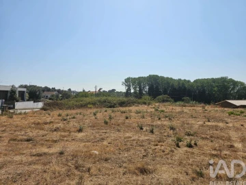 Terreno para Venda em Currelos, Papízios e Sobral